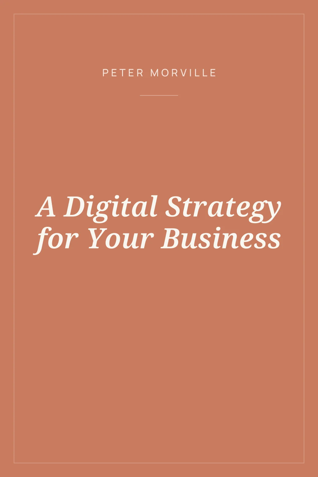 Portada de A Digital Strategy for Your Business